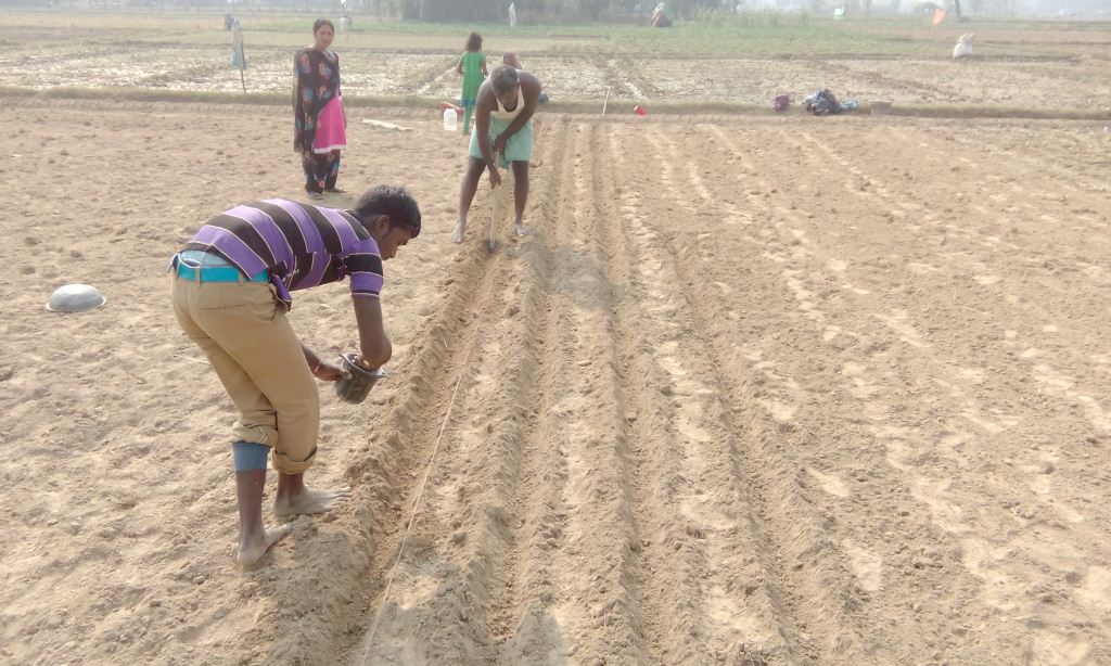 Organic Bio-Pesticide Preparation Workshop