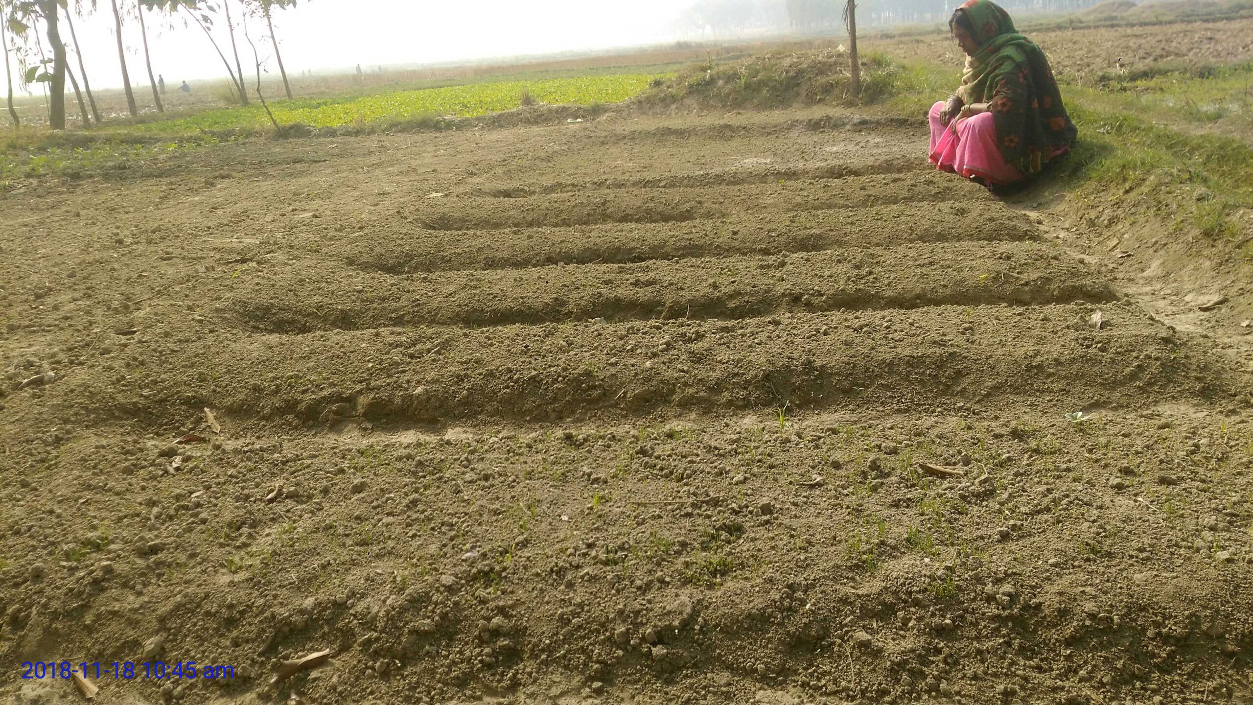 Climate Adaptation, WASH & Disaster Risk Reduction